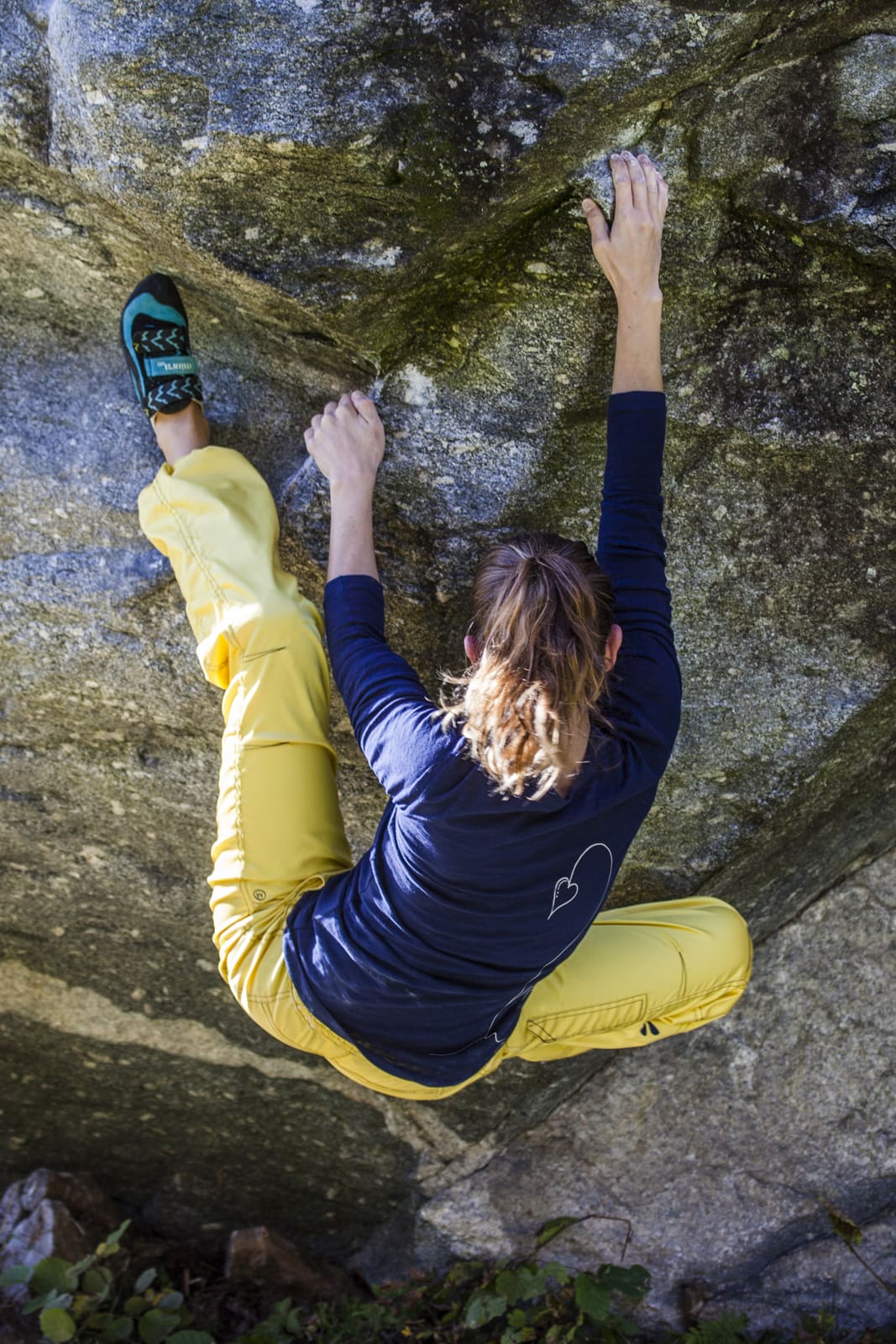 Monvic collection - Violet - Molly - Federica