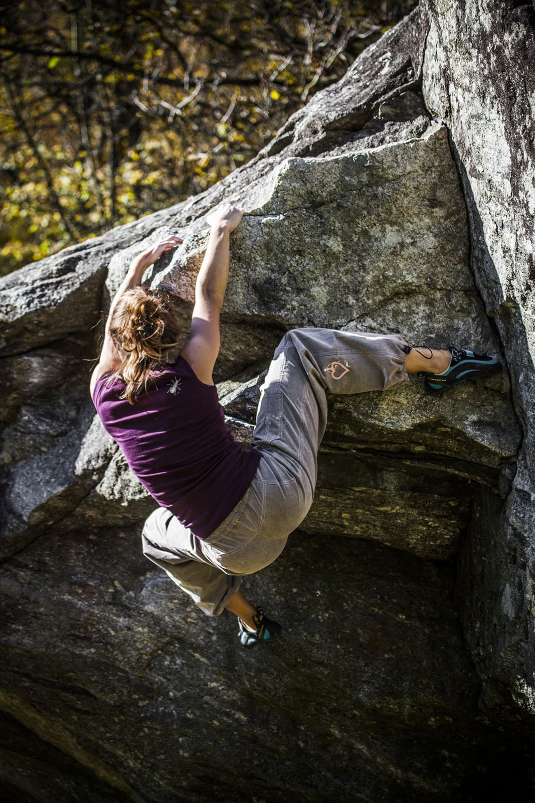 Monvic collection - Violet Velvet - Shirley - Federica