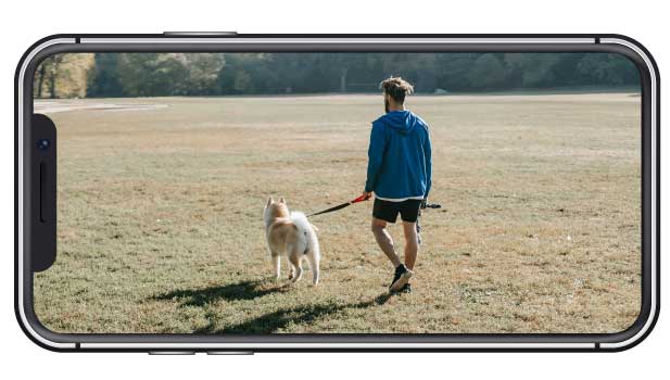 phonemockup