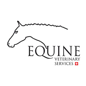 EQUINE - maneggi - team equitazione - cavalli