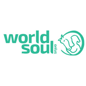 World Soul onlus ippoterapia per disabili